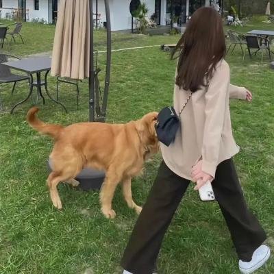 皮行者