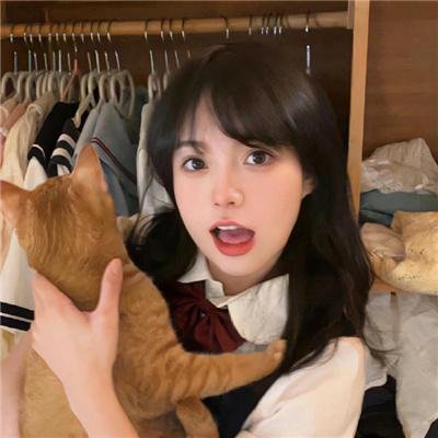八个女人一台戏